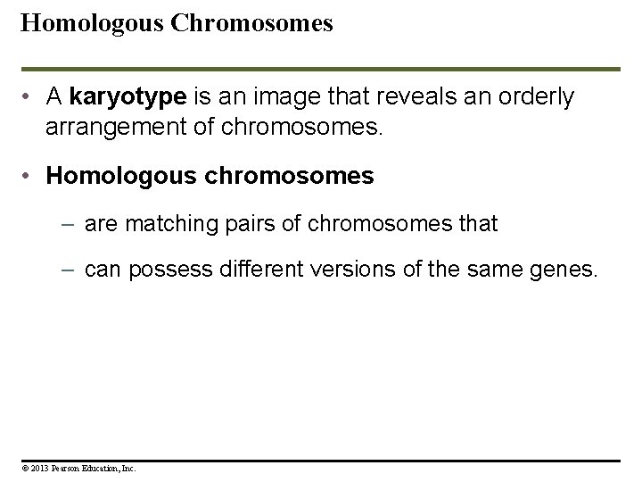 Homologous Chromosomes • A karyotype is an image that reveals an orderly arrangement of