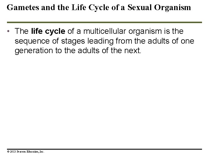 Gametes and the Life Cycle of a Sexual Organism • The life cycle of