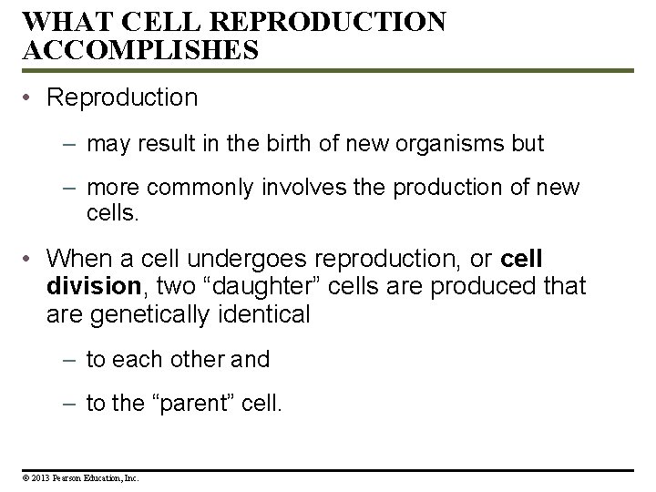 WHAT CELL REPRODUCTION ACCOMPLISHES • Reproduction – may result in the birth of new