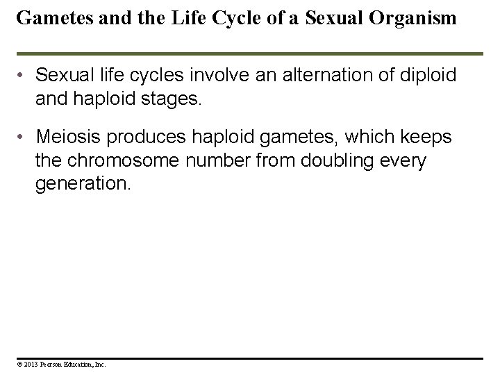 Gametes and the Life Cycle of a Sexual Organism • Sexual life cycles involve