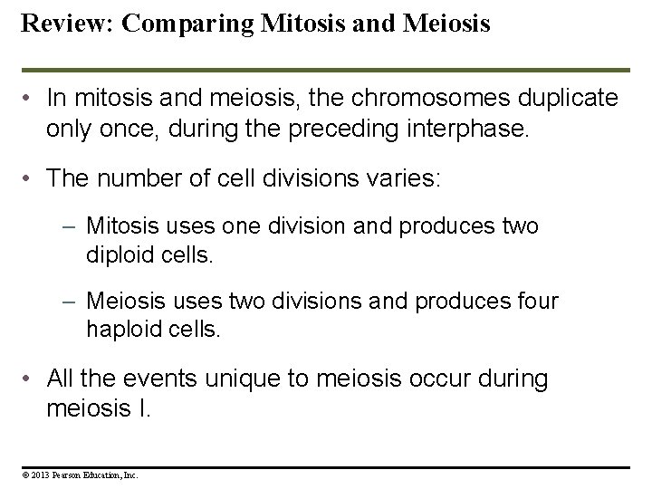 Review: Comparing Mitosis and Meiosis • In mitosis and meiosis, the chromosomes duplicate only