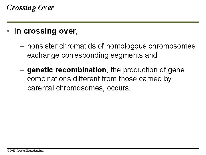 Crossing Over • In crossing over, – nonsister chromatids of homologous chromosomes exchange corresponding