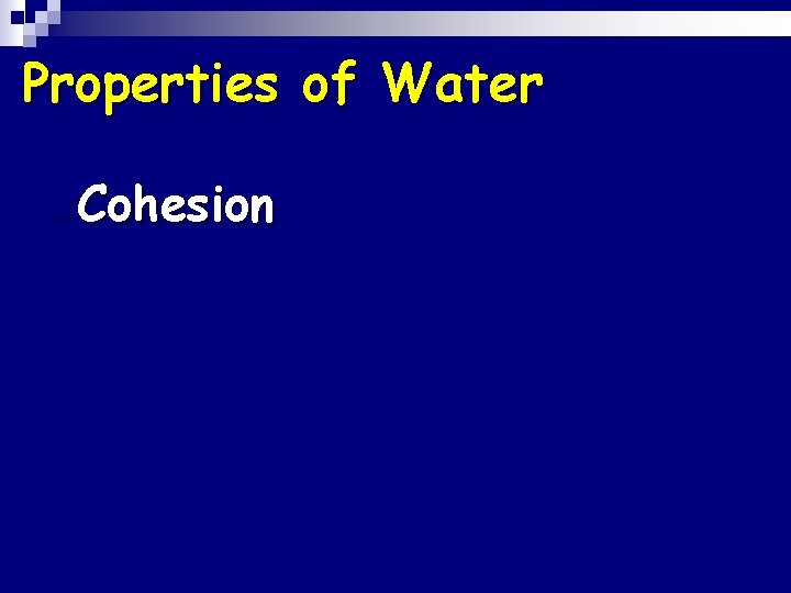 Properties of Water n Cohesion 