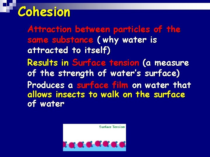 Cohesion Attraction between particles of the same substance ( why water is attracted to