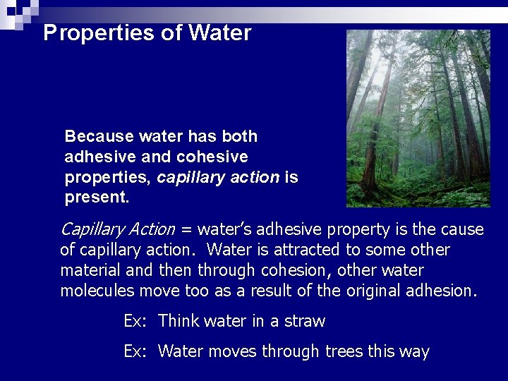Properties of Water Capillary Action Because water has both adhesive and cohesive properties, capillary