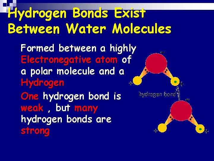 Hydrogen Bonds Exist Between Water Molecules Formed between a highly Electronegative atom of a
