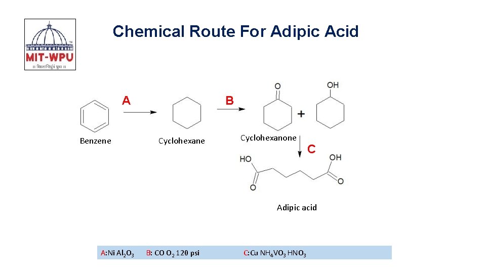 Chemical Route For Adipic Acid A Benzene B Cyclohexane Cyclohexanone C Adipic acid A: