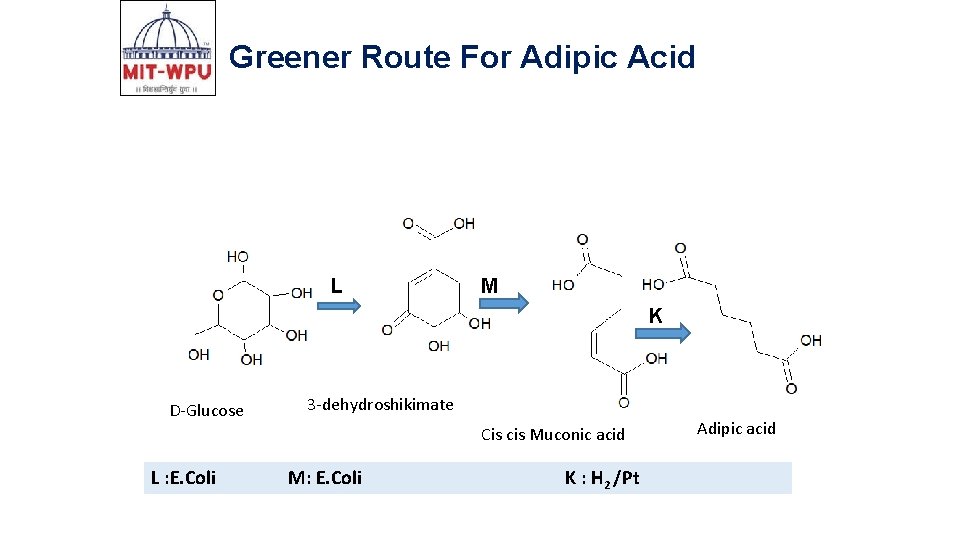 Greener Route For Adipic Acid L M K D-Glucose 3 -dehydroshikimate Cis cis Muconic