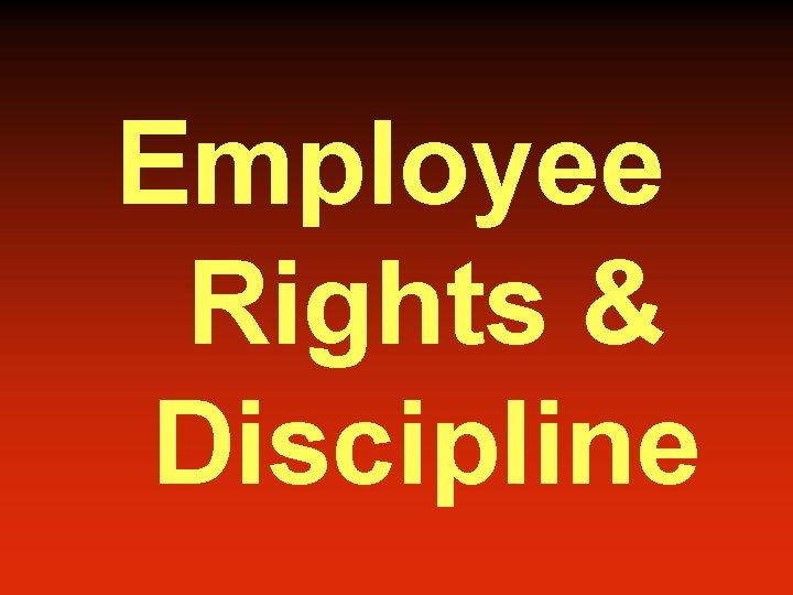 Employee Rights & Discipline 