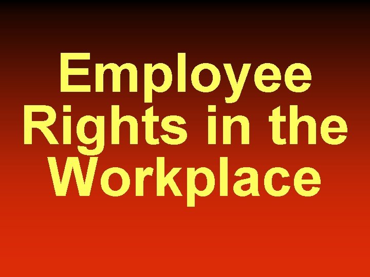 Employee Rights in the Workplace 