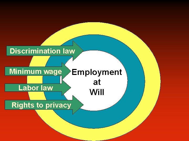 Discrimination law Minimum wage Labor law Rights to privacy Employment at Will 