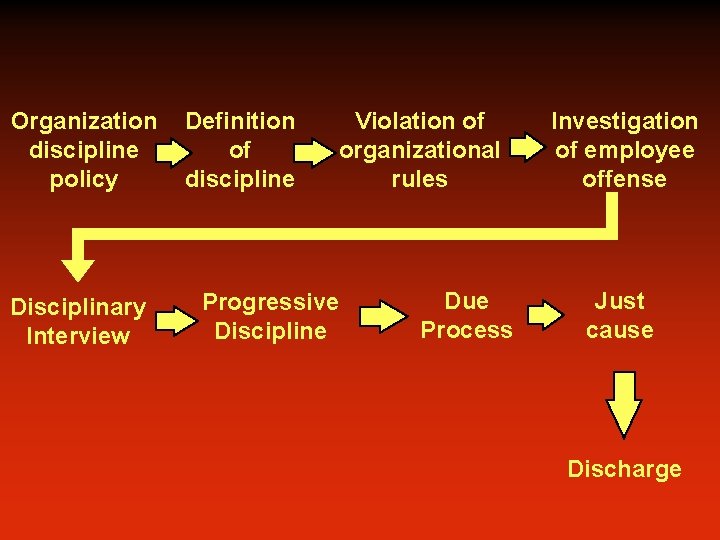 Organization discipline policy Disciplinary Interview Definition of discipline Violation of organizational rules Progressive Discipline