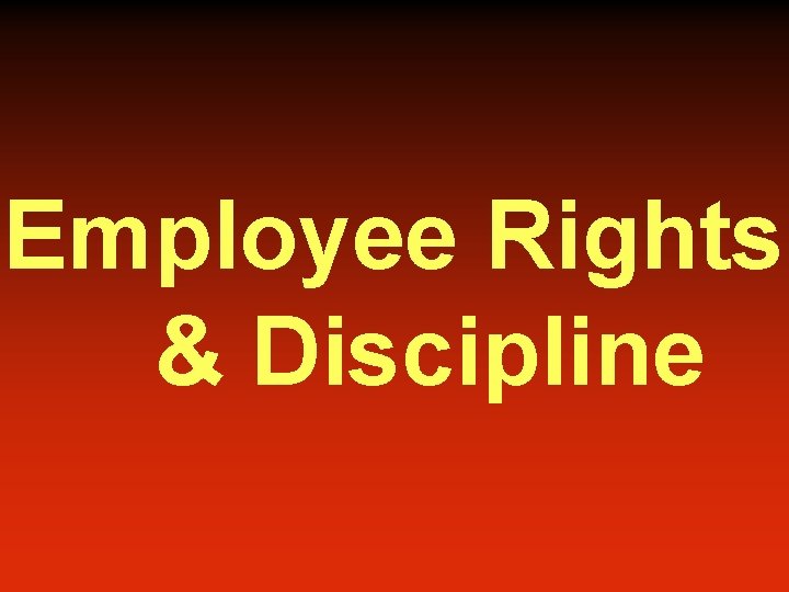 Employee Rights & Discipline 