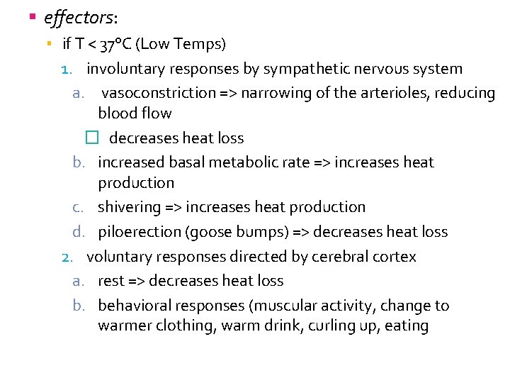  effectors: ▪ if T < 37°C (Low Temps) 1. involuntary responses by sympathetic