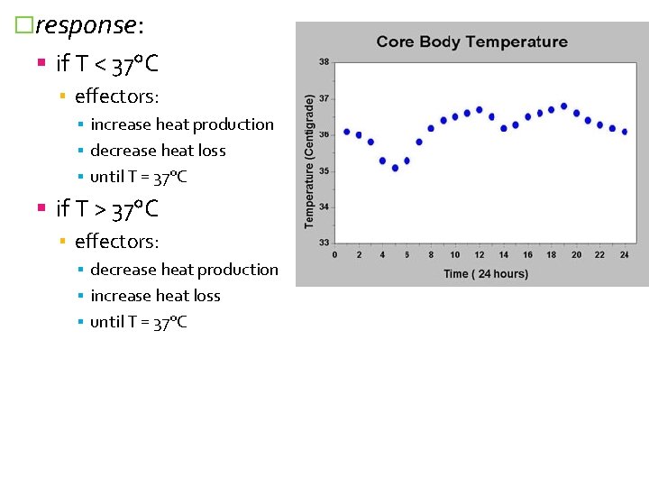 �response: if T < 37°C ▪ effectors: ▪ increase heat production ▪ decrease heat
