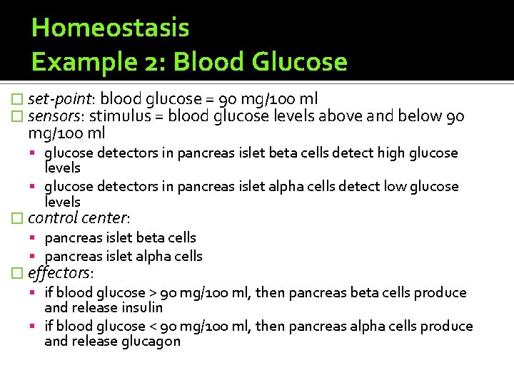 Homeostasis Example 2: Blood Glucose � set-point: blood glucose = 90 mg/100 ml �