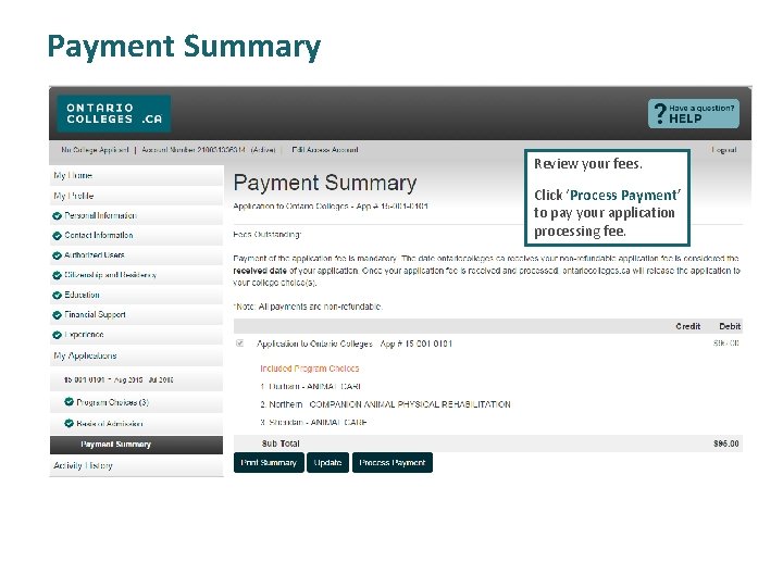 Payment Summary Review your fees. Click ‘Process Payment’ to pay your application processing fee.