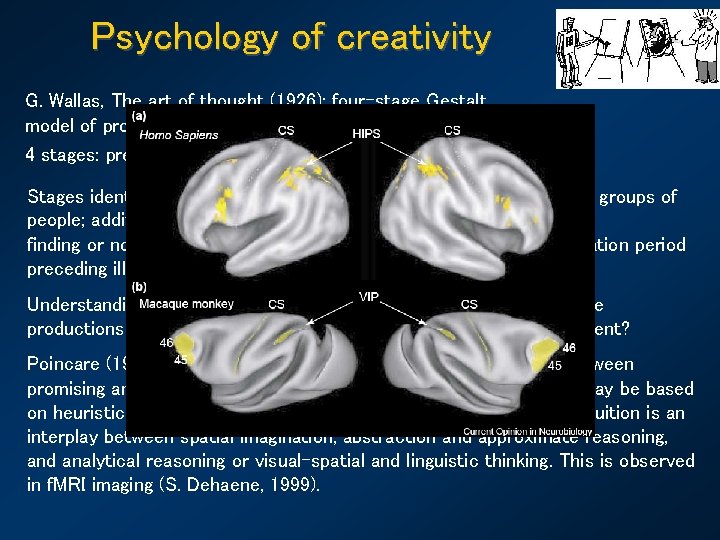 Psychology of creativity G. Wallas, The art of thought (1926): four-stage Gestalt model of