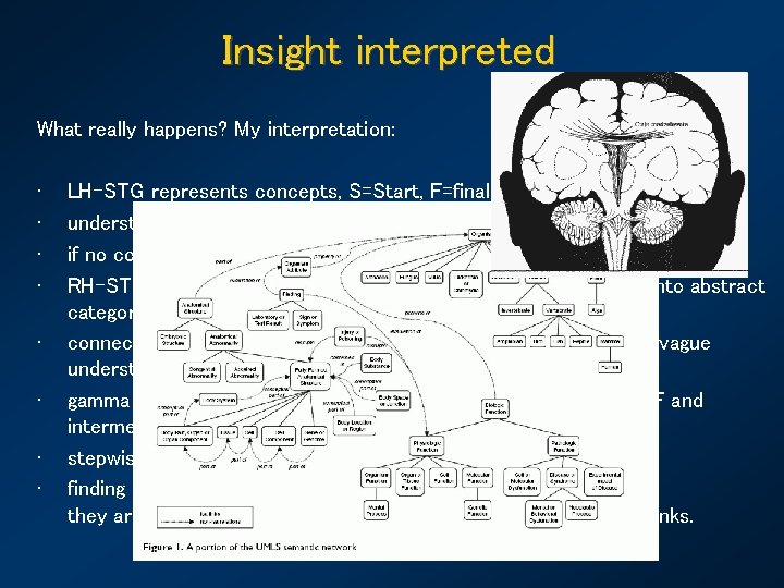 Insight interpreted What really happens? My interpretation: • • LH-STG represents concepts, S=Start, F=final