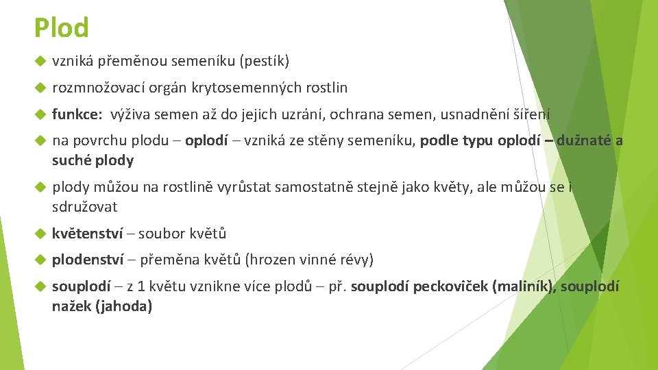 Plod vzniká přeměnou semeníku (pestík) rozmnožovací orgán krytosemenných rostlin funkce: výživa semen až do