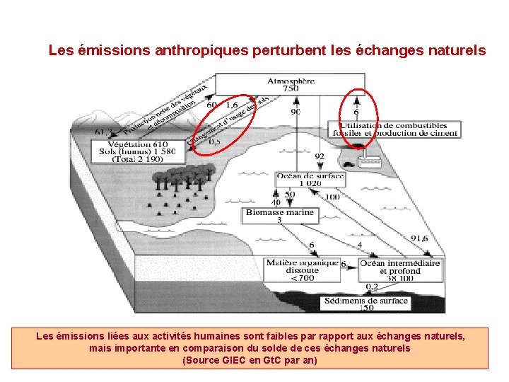 Les émissions anthropiques perturbent les échanges naturels Les émissions liées aux activités humaines sont