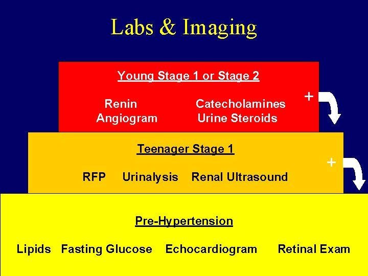 Labs & Imaging Young Stage 1 or Stage 2 Renin Angiogram Catecholamines Urine Steroids