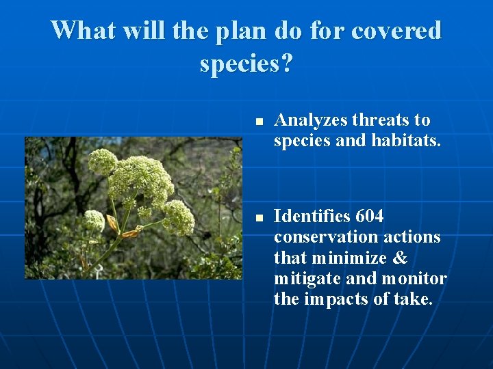 What will the plan do for covered species? n n Analyzes threats to species