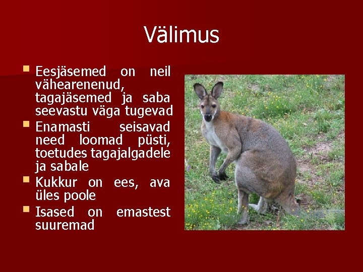 Välimus § Eesjäsemed on neil vähearenenud, tagajäsemed ja saba seevastu väga tugevad § Enamasti