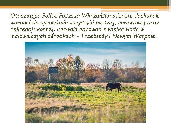 Otaczająca Police Puszcza Wkrzańska oferuje doskonałe warunki do uprawiania turystyki pieszej, rowej oraz rekreacji