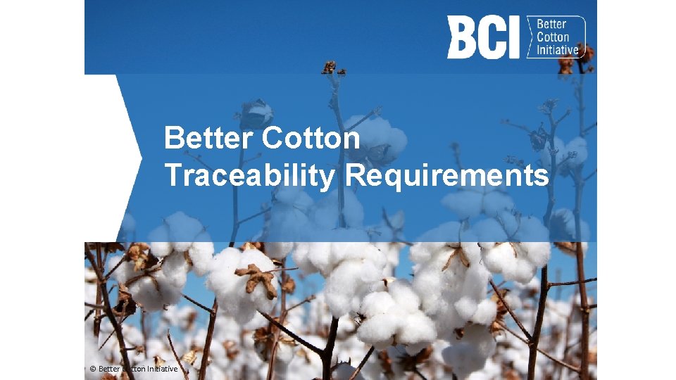 Better Cotton Traceability Requirements © Better Cotton Initiative 