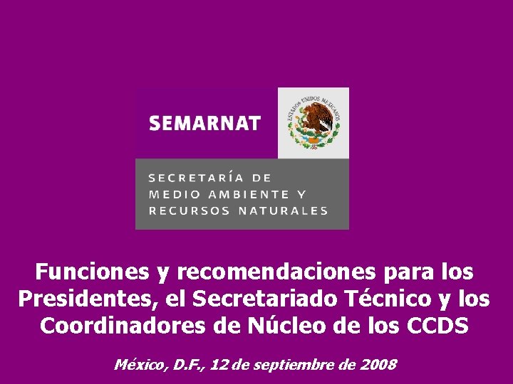 Funciones y recomendaciones para los Presidentes, el Secretariado Técnico y los Coordinadores de Núcleo