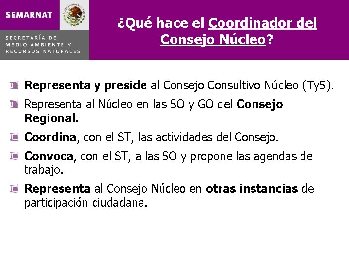 ¿Qué hace el Coordinador del Consejo Núcleo? Representa y preside al Consejo Consultivo Núcleo