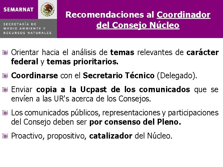 Recomendaciones al Coordinador del Consejo Núcleo Orientar hacia el análisis de temas relevantes de