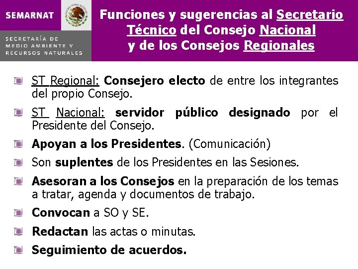 Funciones y sugerencias al Secretario Técnico del Consejo Nacional y de los Consejos Regionales