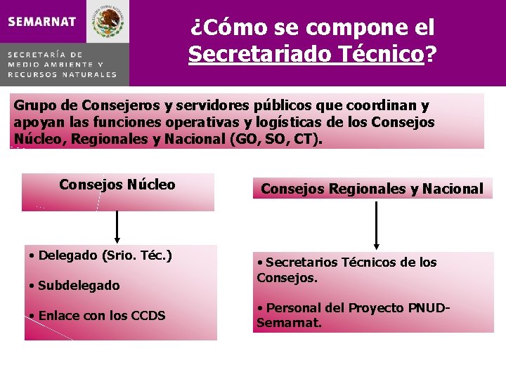 ¿Cómo se compone el Secretariado Técnico? Grupo de Consejeros y servidores públicos que coordinan