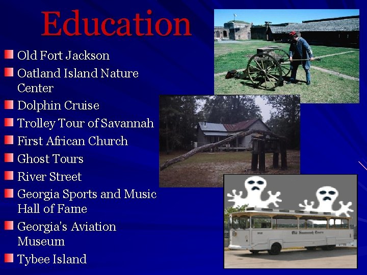 Education Old Fort Jackson Oatland Island Nature Center Dolphin Cruise Trolley Tour of Savannah