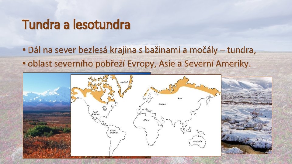 Tundra a lesotundra • Dál na sever bezlesá krajina s bažinami a močály –