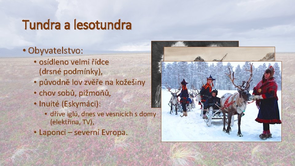 Tundra a lesotundra • Obyvatelstvo: • osídleno velmi řídce (drsné podmínky), • původně lov