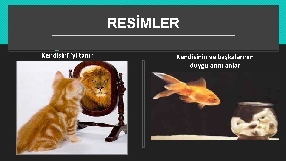 RESİMLER Kendisini iyi tanır Kendisinin ve başkalarının duygularını anlar RESİMLER Kendisini iyi tanır Kendisinin ve başkalarının duygularını anlar