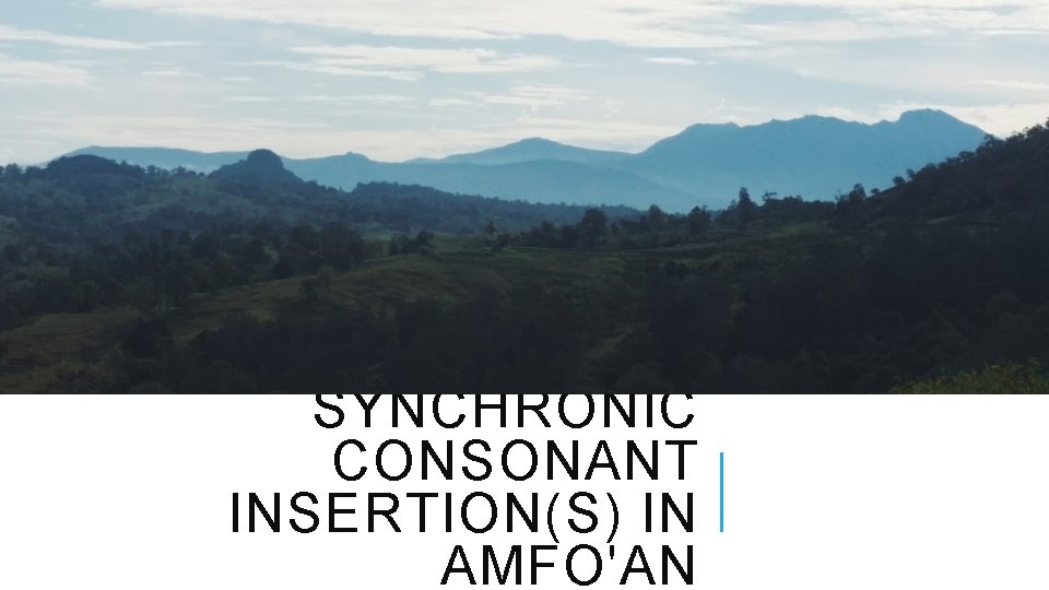 SYNCHRONIC CONSONANT INSERTION(S) IN AMFO'AN 