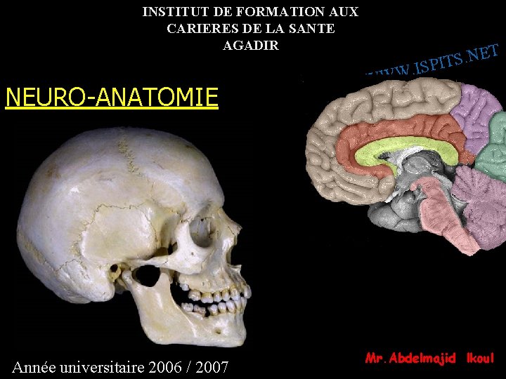 INSTITUT DE FORMATION AUX CARIERES DE LA SANTE AGADIR NEURO-ANATOMIE Année universitaire 2006 /