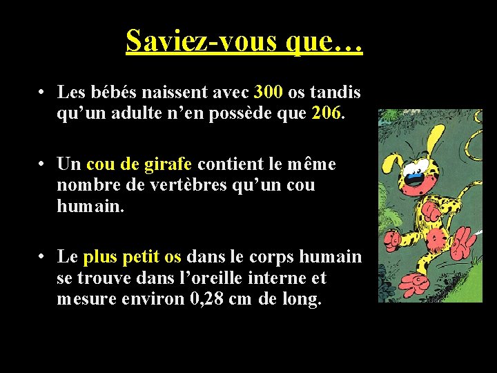 Saviez-vous que… • Les bébés naissent avec 300 os tandis qu’un adulte n’en possède