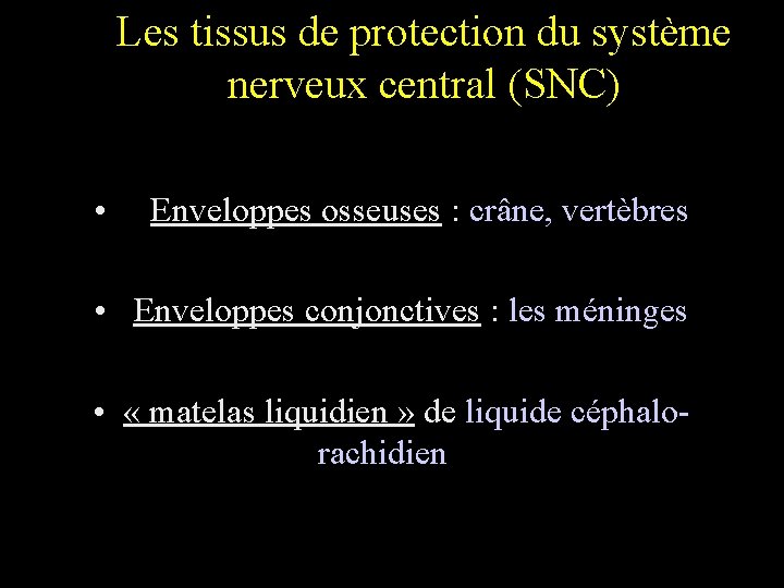 Les tissus de protection du système nerveux central (SNC) • Enveloppes osseuses : crâne,