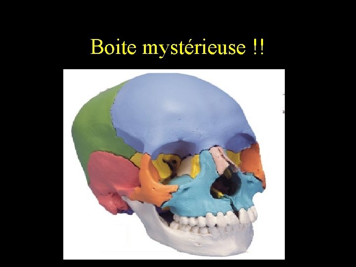 Boite mystérieuse !! 