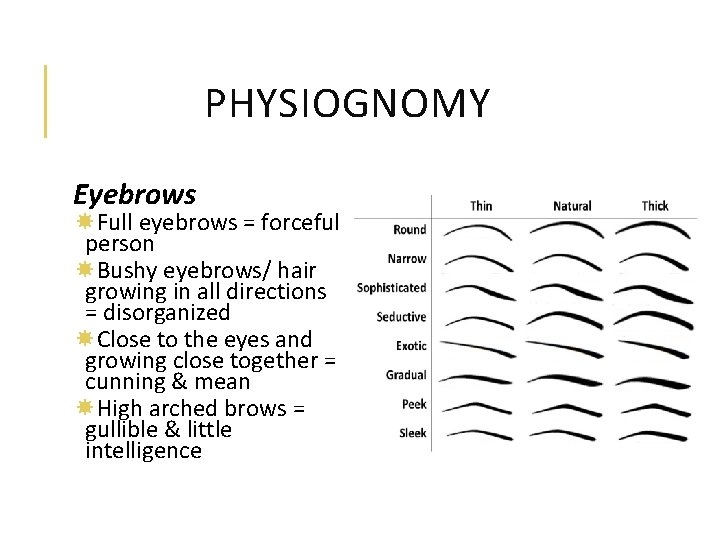 PHYSIOGNOMY Eyebrows Full eyebrows = forceful person Bushy eyebrows/ hair growing in all directions