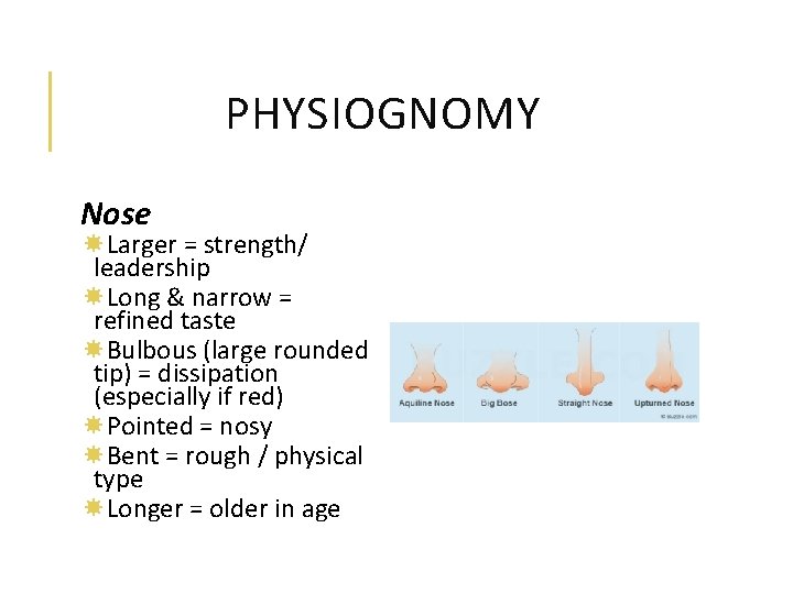 PHYSIOGNOMY Nose Larger = strength/ leadership Long & narrow = refined taste Bulbous (large