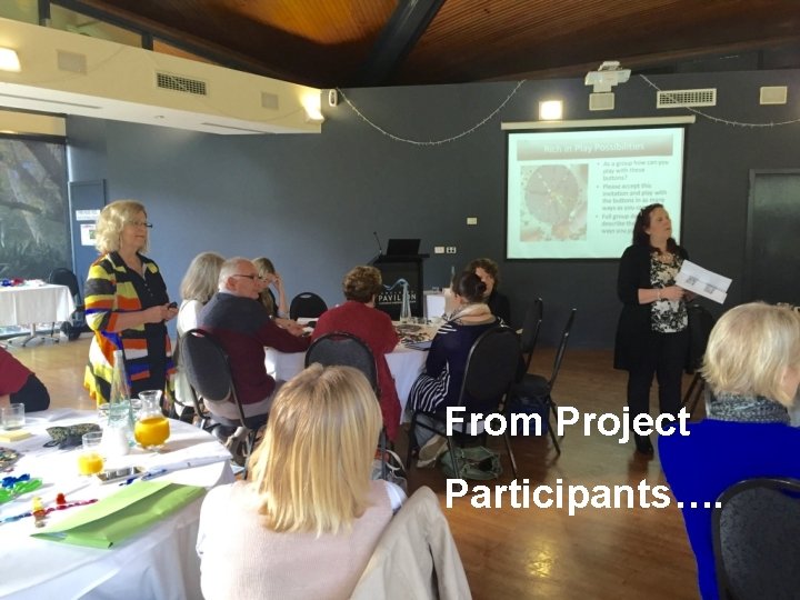 From Project Participants…. 