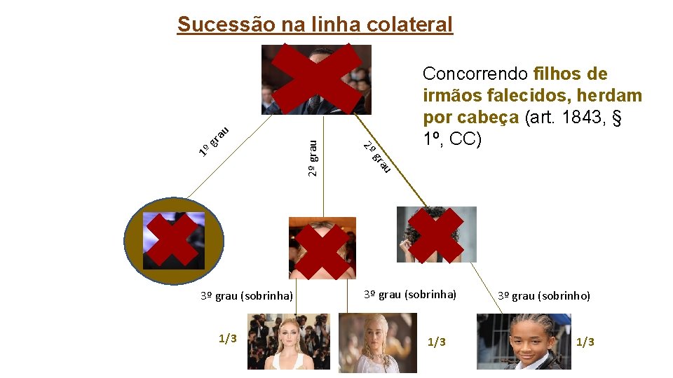 1º 2º grau au 1/3 Concorrendo filhos de irmãos falecidos, herdam por cabeça (art.