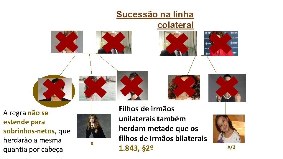 Sucessão na linha colateral A regra não se estende para sobrinhos-netos, que herdarão a