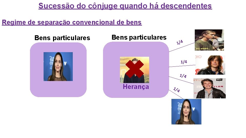 Sucessão do cônjuge quando há descendentes Regime de separação convencional de bens Bens particulares